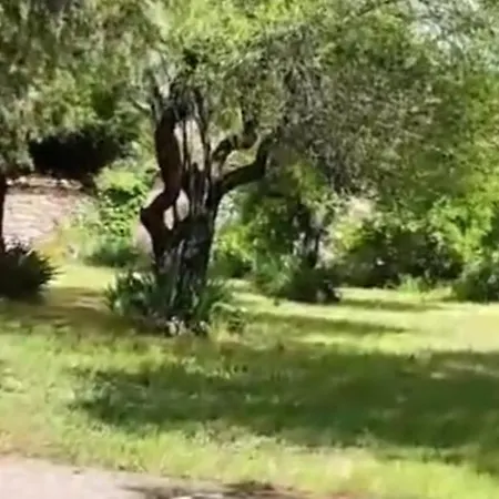 La Perseverancia Holiday home