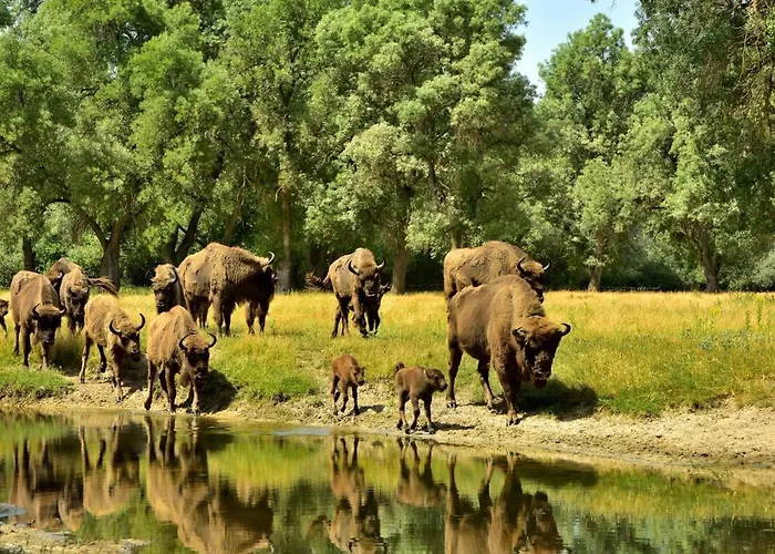 La Perseverancia Vakantiehuis