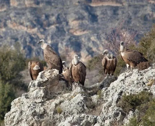 Vakantiehuis La Perseverancia *