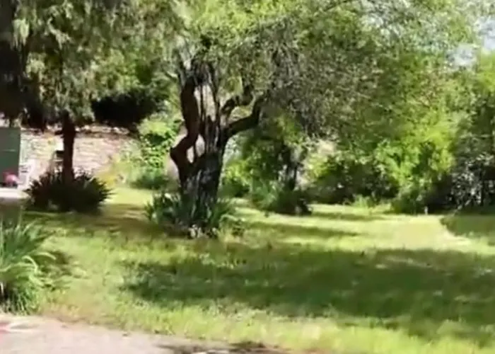 La Perseverancia Hébergement de vacances